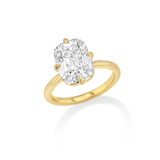Real Fine Signature Setting with Compass Prongs