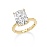 Real Fine Signature Setting